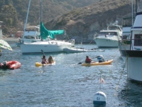 Catalina 572.JPG